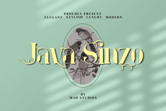 Java Sinzo: The Modern Serif Typeface for High-Performance Web Design