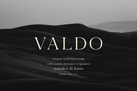 Valdo: The Serif Typeface That Transformed My Small Business Brand
